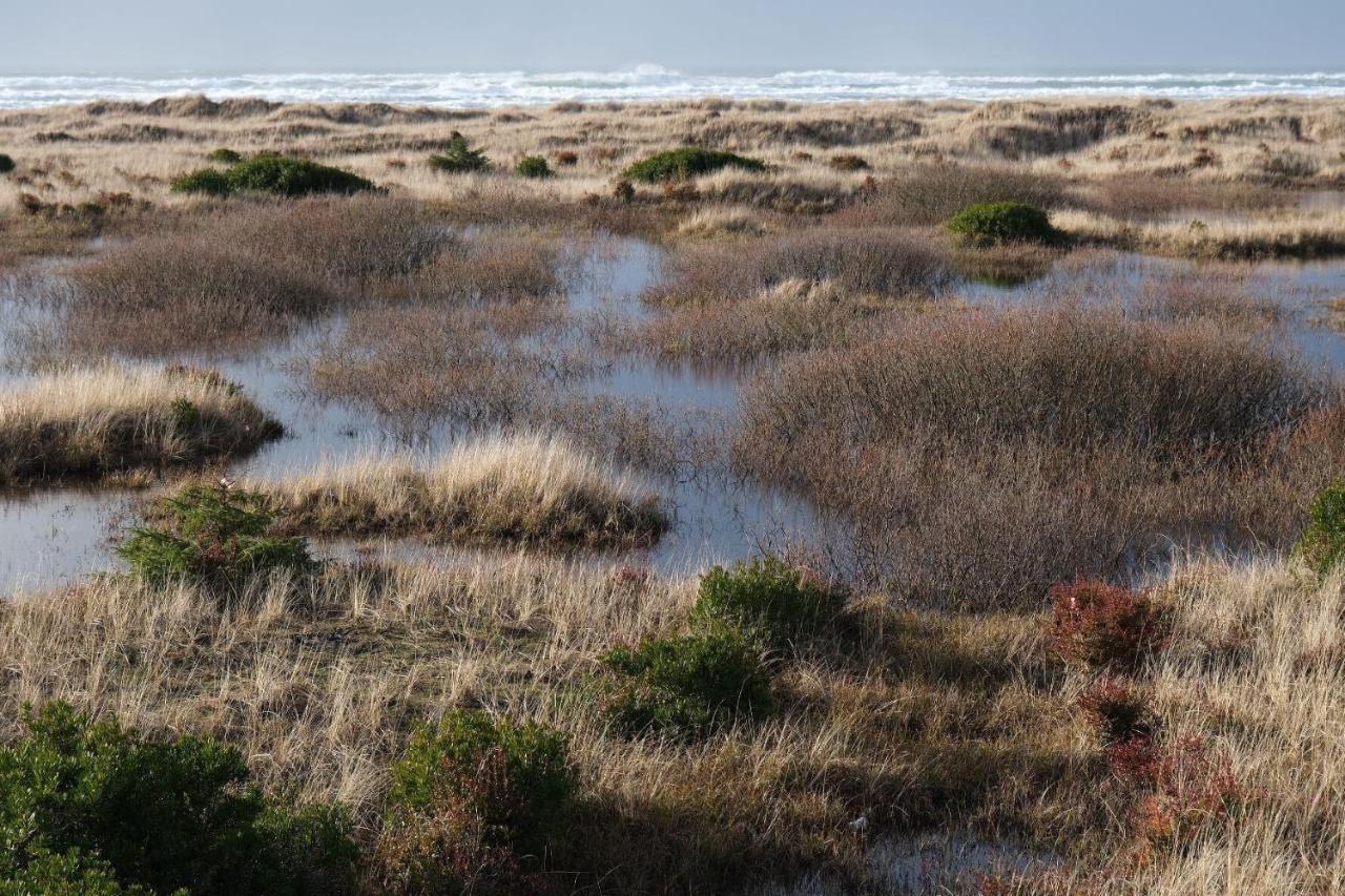Tidal House #4 - Ocean Shores Chalet 外观 照片